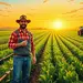 Préstamos personales para proyectos agrícolas